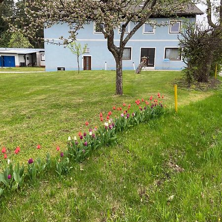 Apartamento Nikolaierhaus Feldkirchen in Kärnten Exterior foto