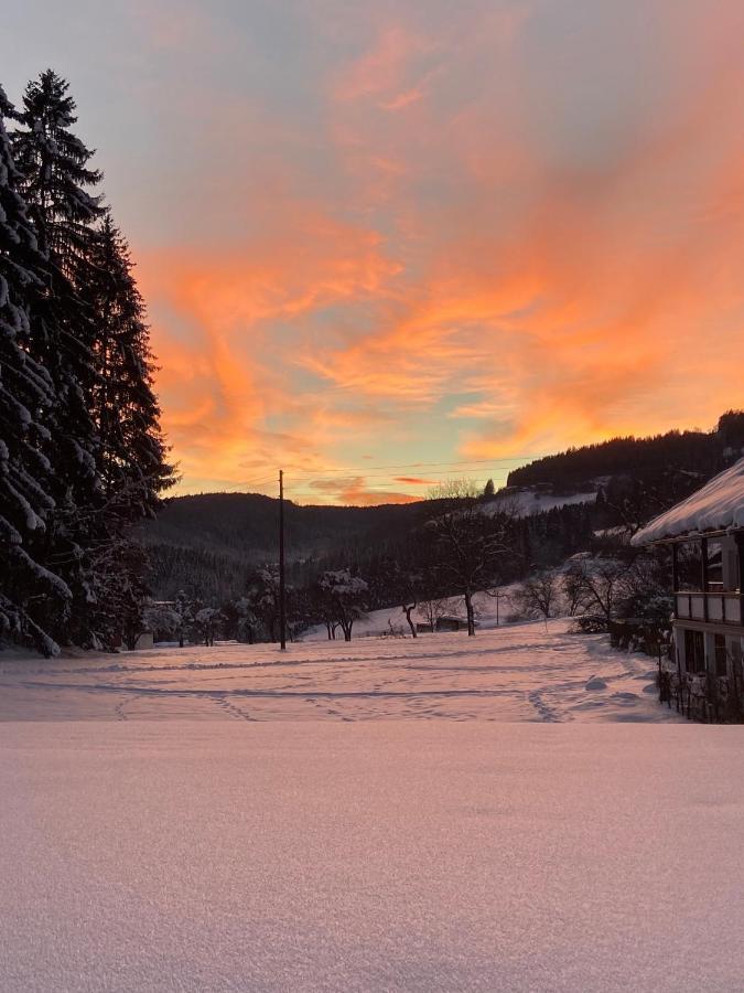 Apartamento Nikolaierhaus Feldkirchen in Kärnten Exterior foto