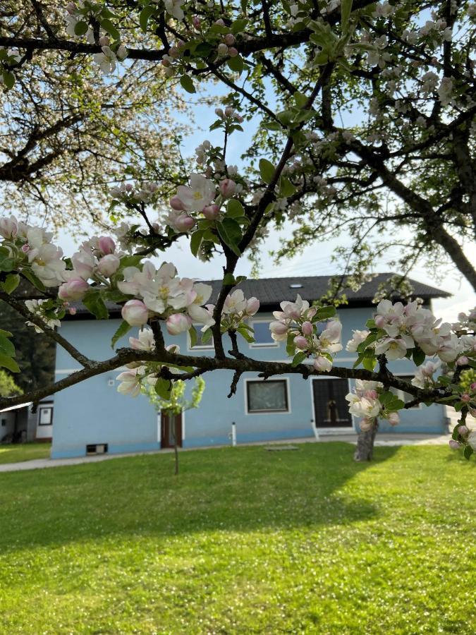 Apartamento Nikolaierhaus Feldkirchen in Kärnten Exterior foto