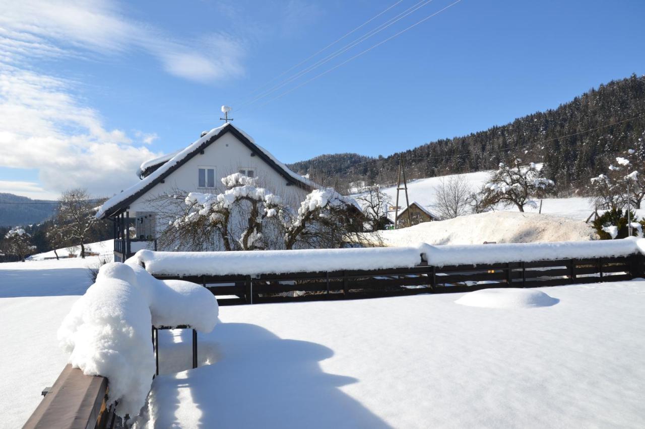 Apartamento Nikolaierhaus Feldkirchen in Kärnten Exterior foto