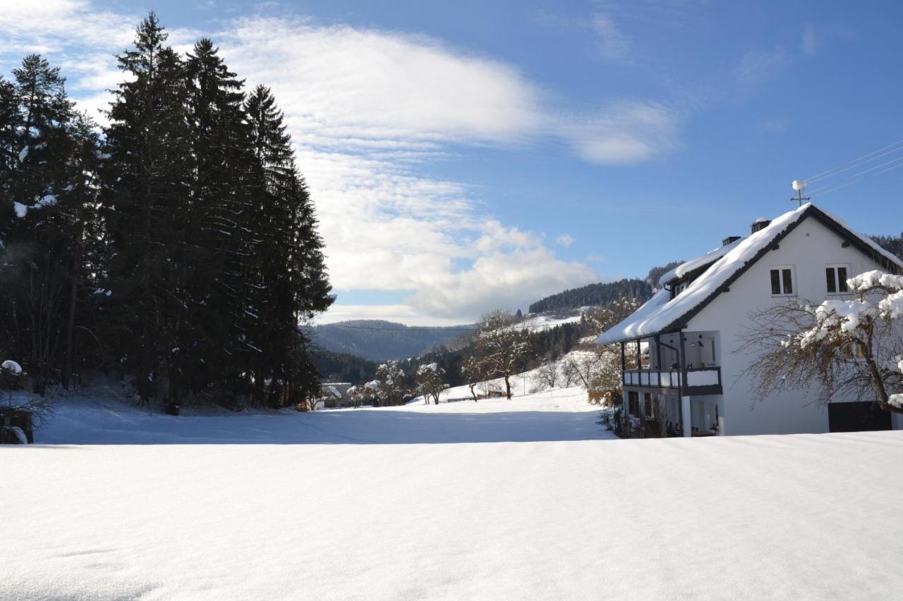 Apartamento Nikolaierhaus Feldkirchen in Kärnten Exterior foto